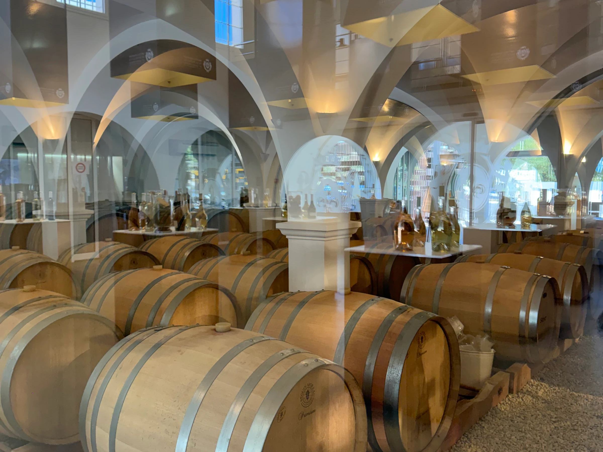 Wine barrels photographed during a visit to Maîtres Vignerons