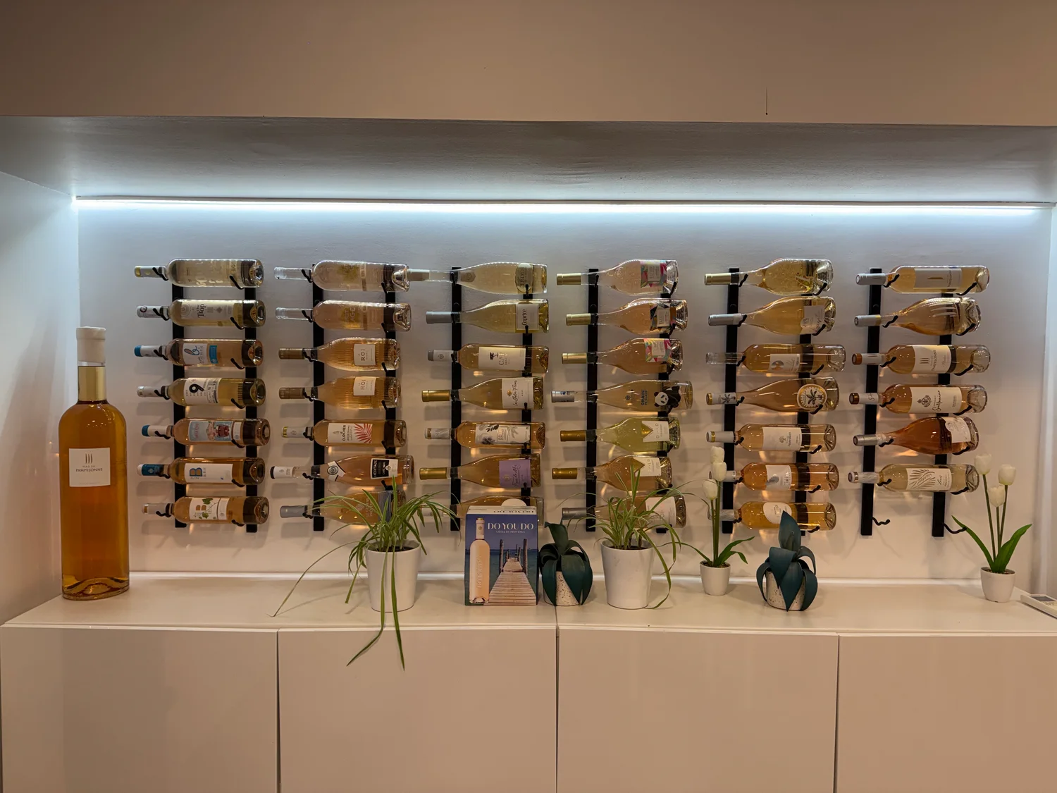The bottle display at Maîtres Vignerons during one of our visits