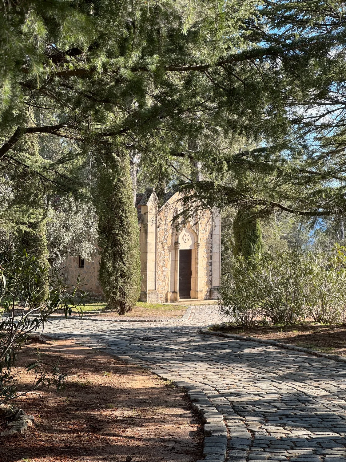 A stone building and trees on the Château Rasque estate